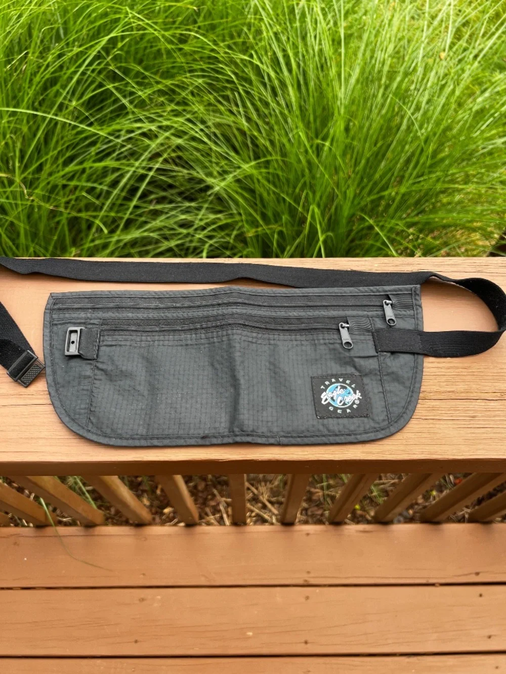 Eagle Creek Travel Gear Undercover Money Belt: Passport, credit cards, curren...